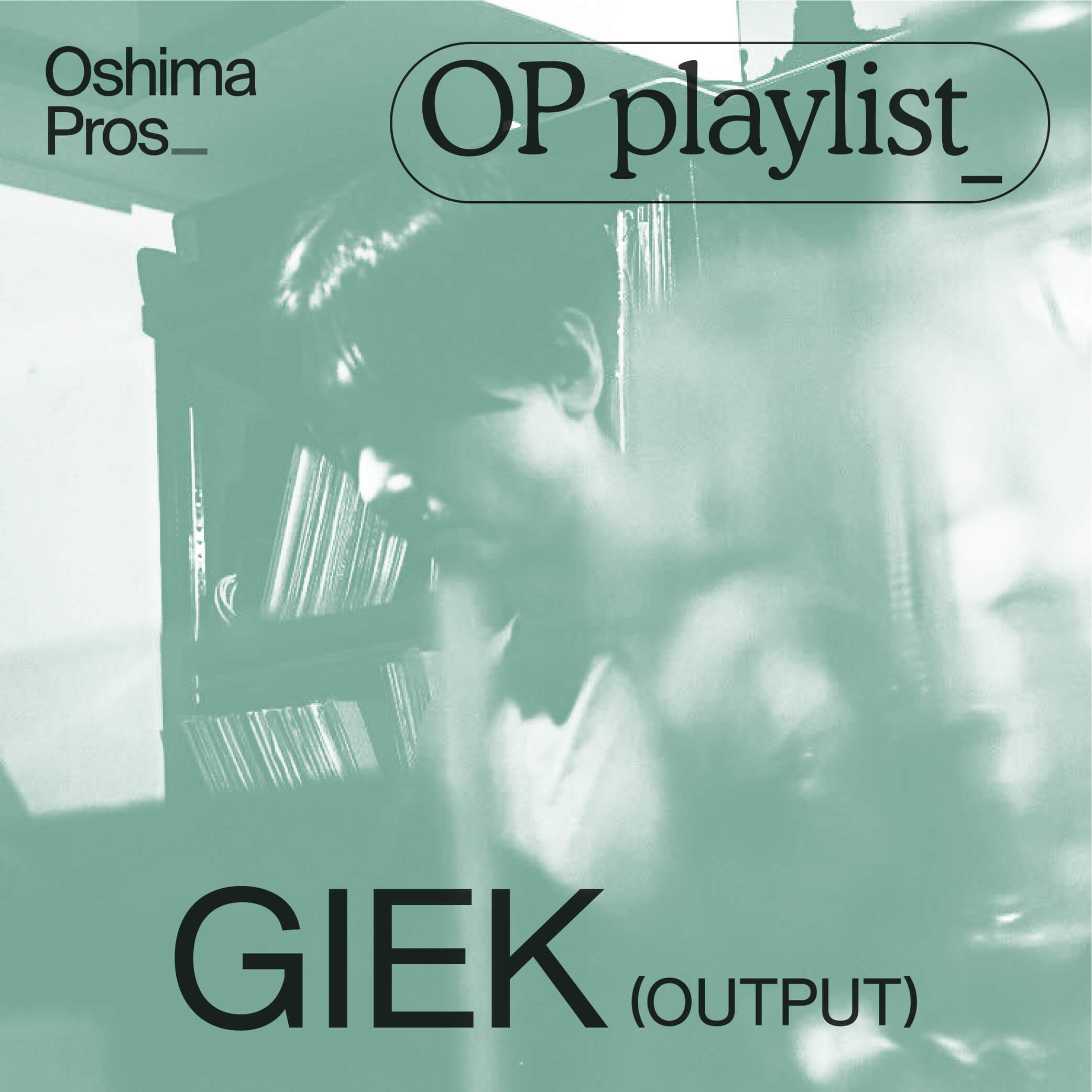 OP_pl_1130_giek-output