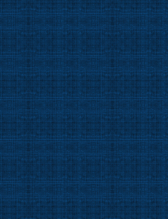 RF52202676 toile bleue