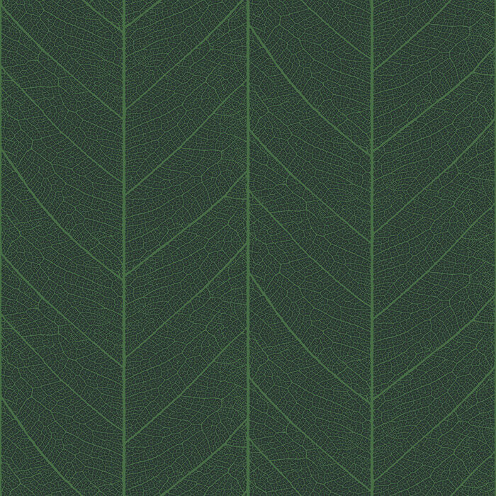 RF52202912 leaf skeleton green