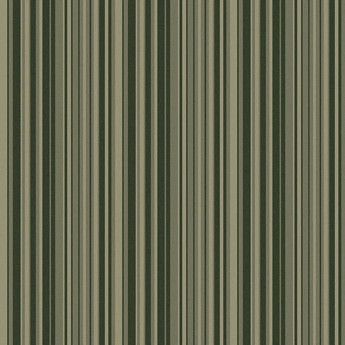 RF52952515 denim stripe green