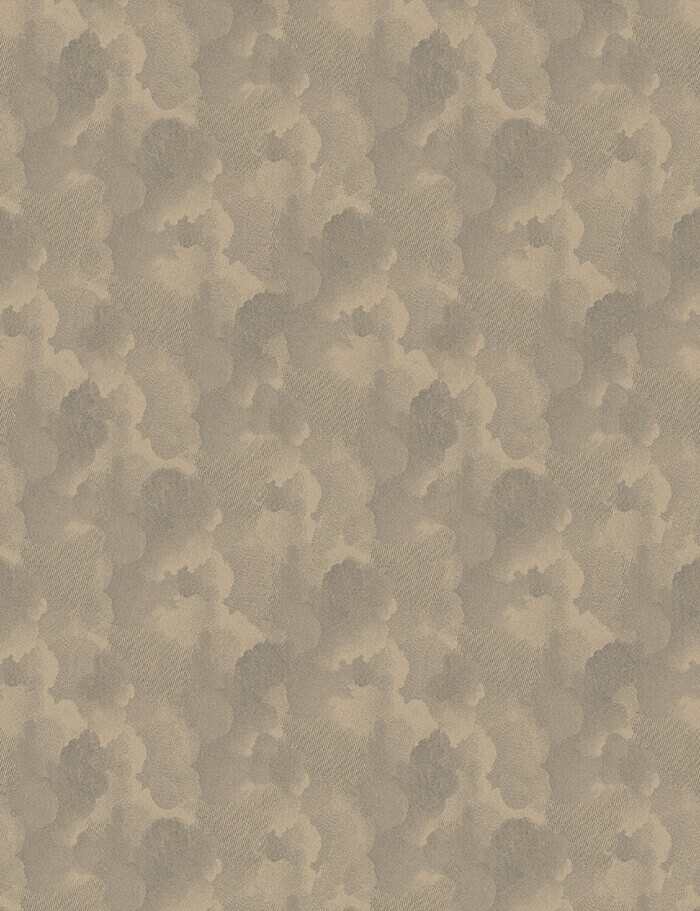 RF52952704 nuages grey beige