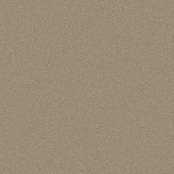 RFM55752046 grainy texture beige