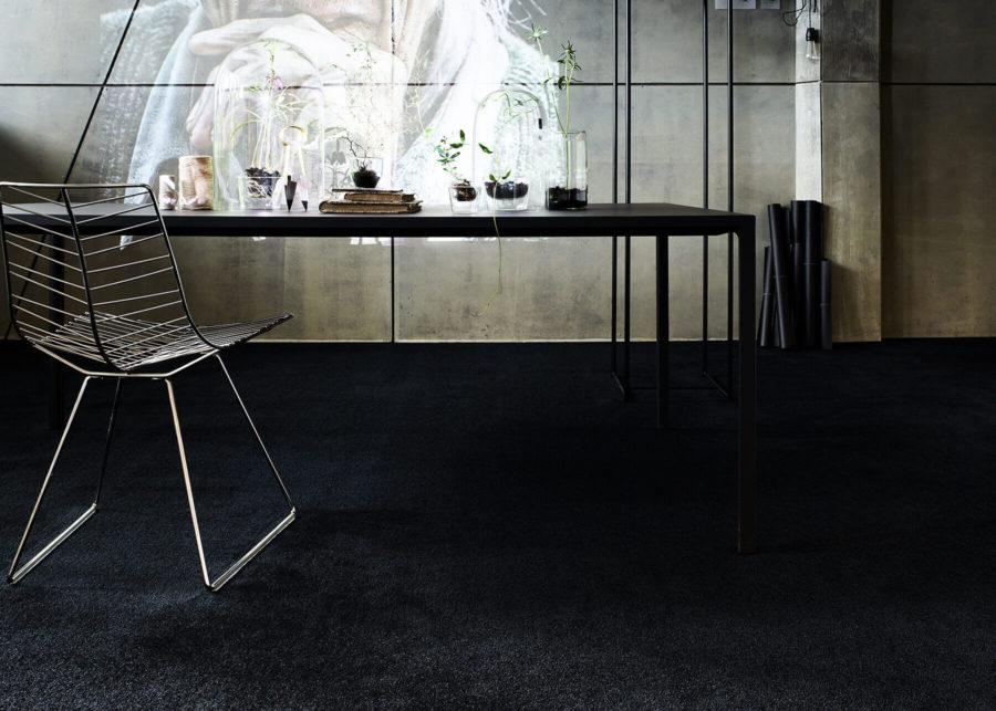 Silky Seal | Oshima Pros